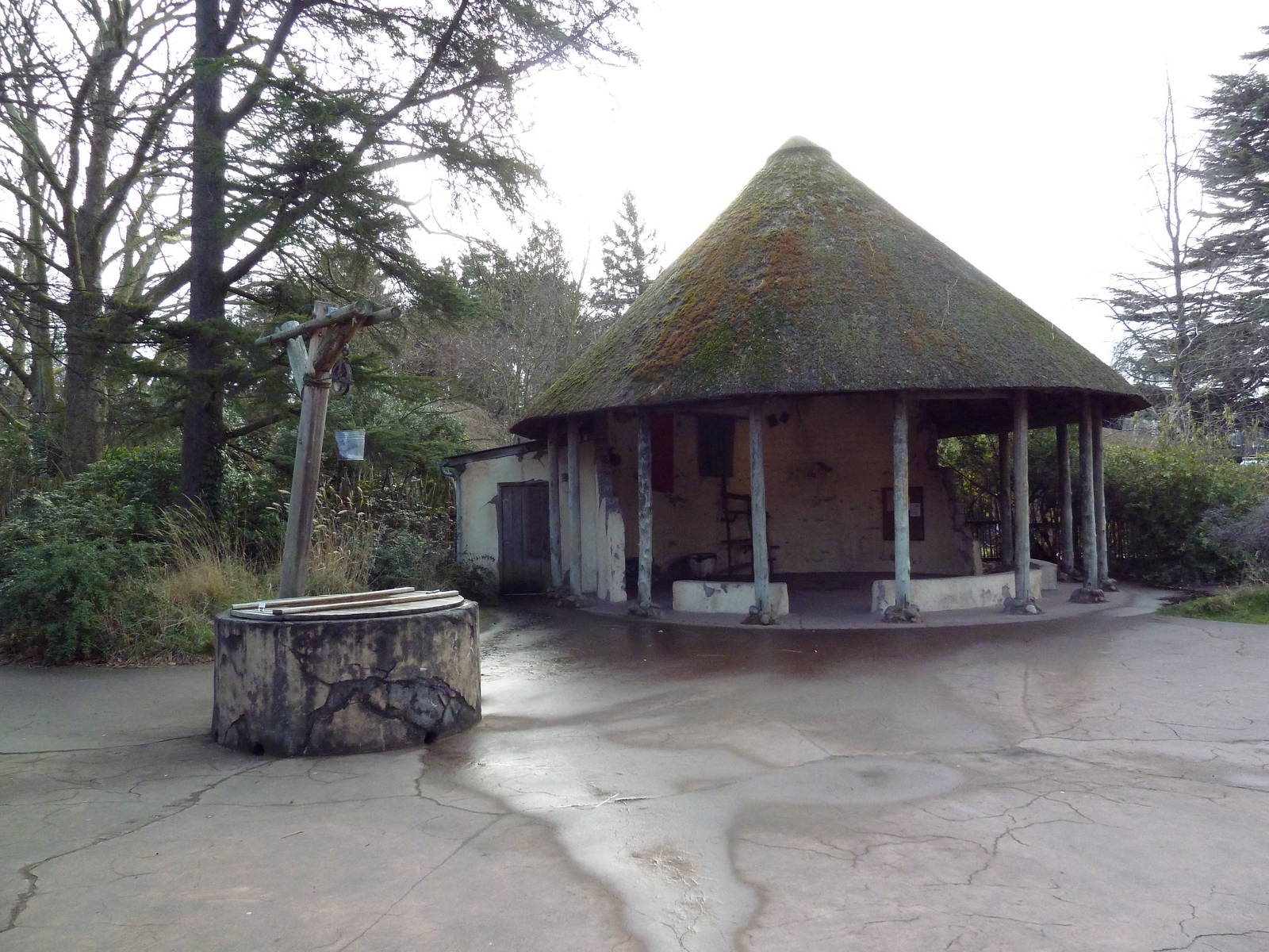 African Savanna - Village