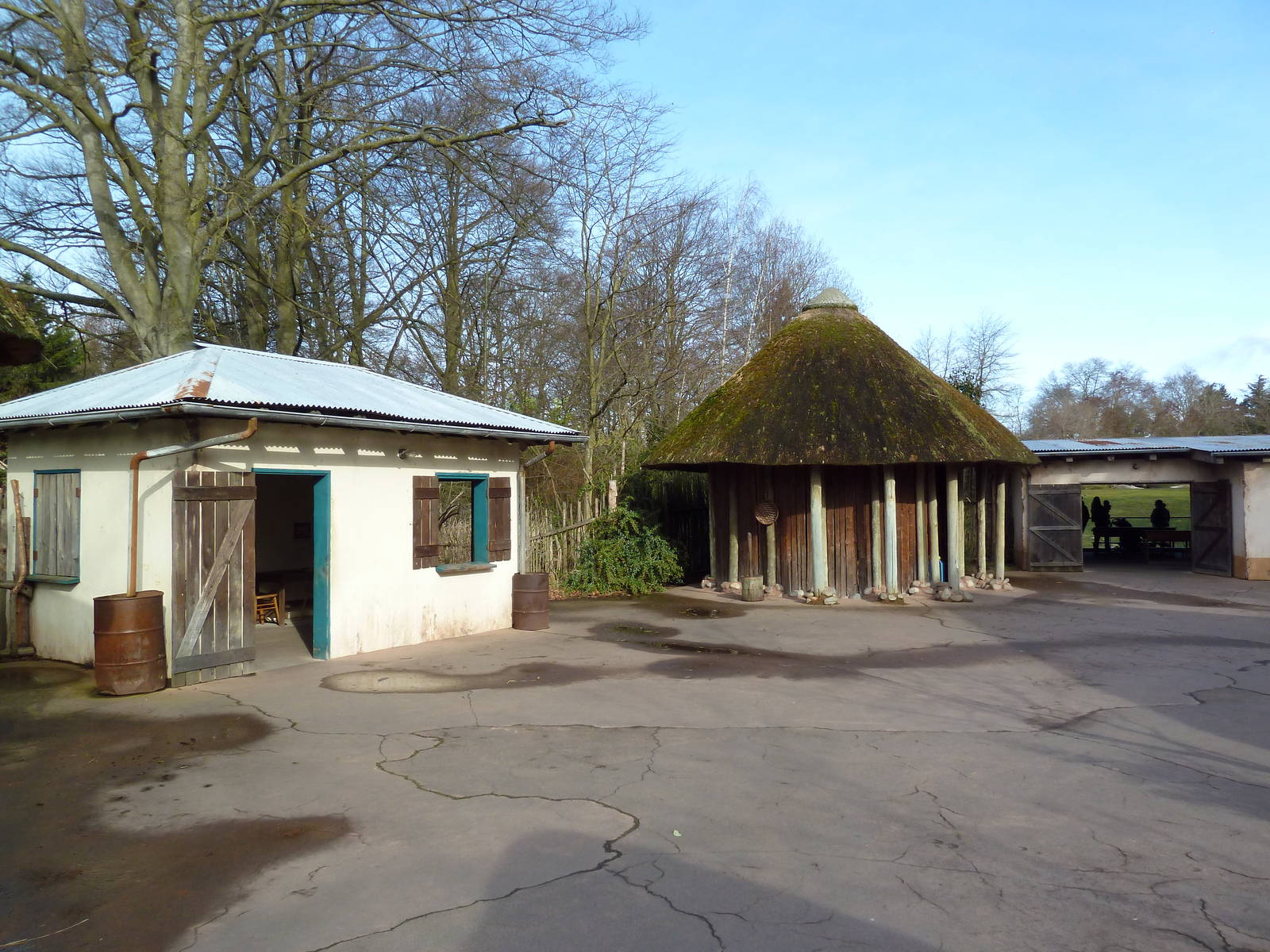 African Savanna - Village