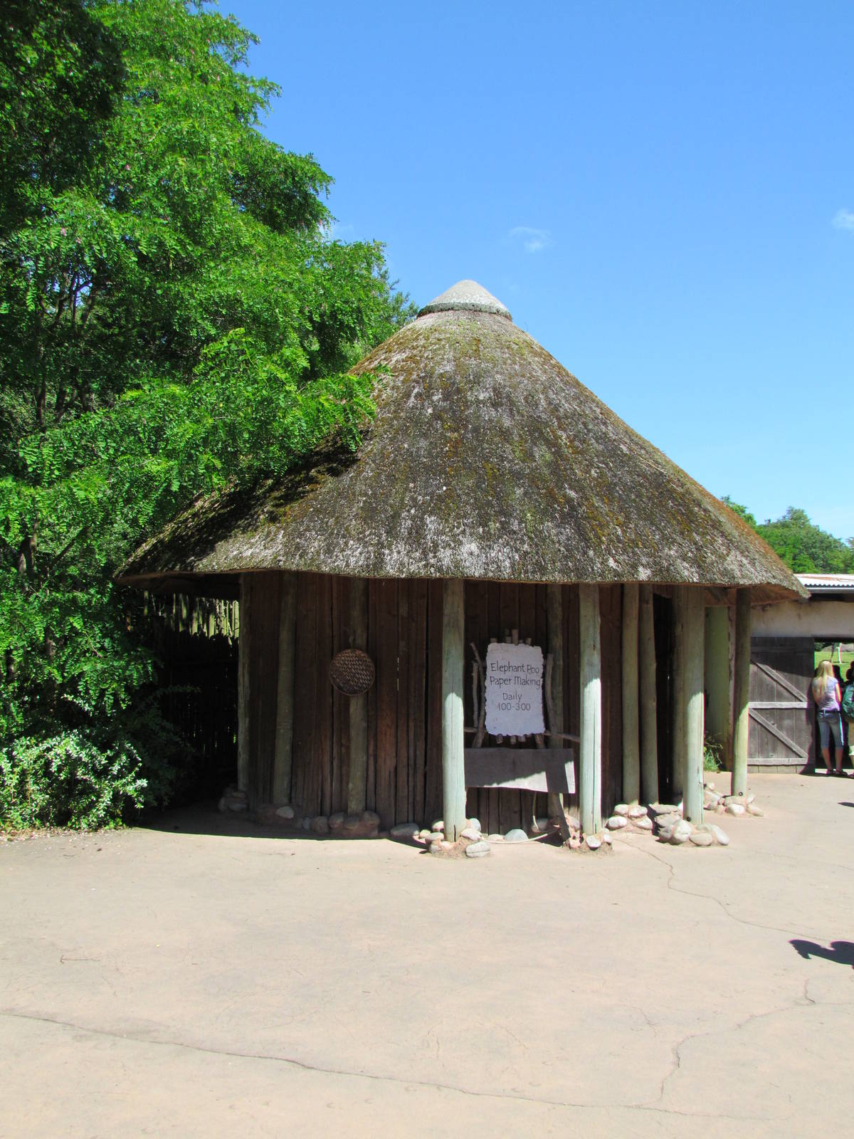 African Savanna - Village