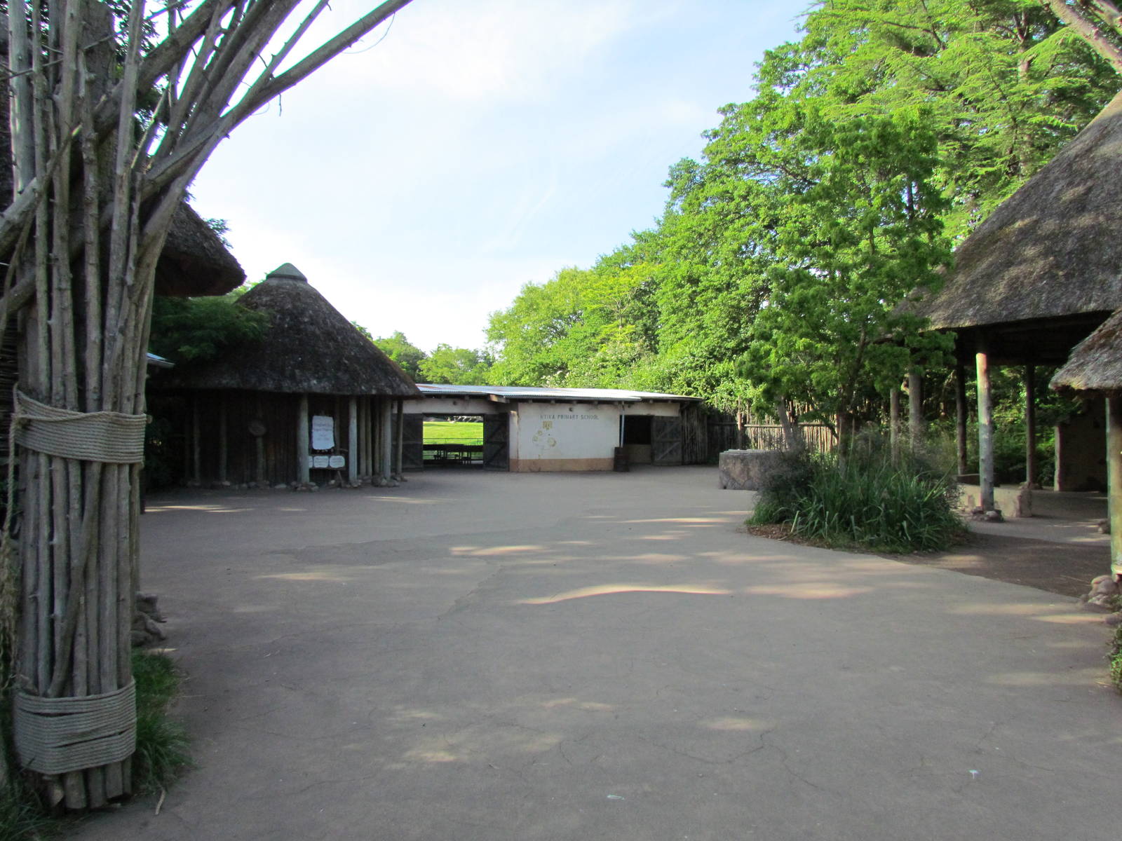 African Savanna - Village