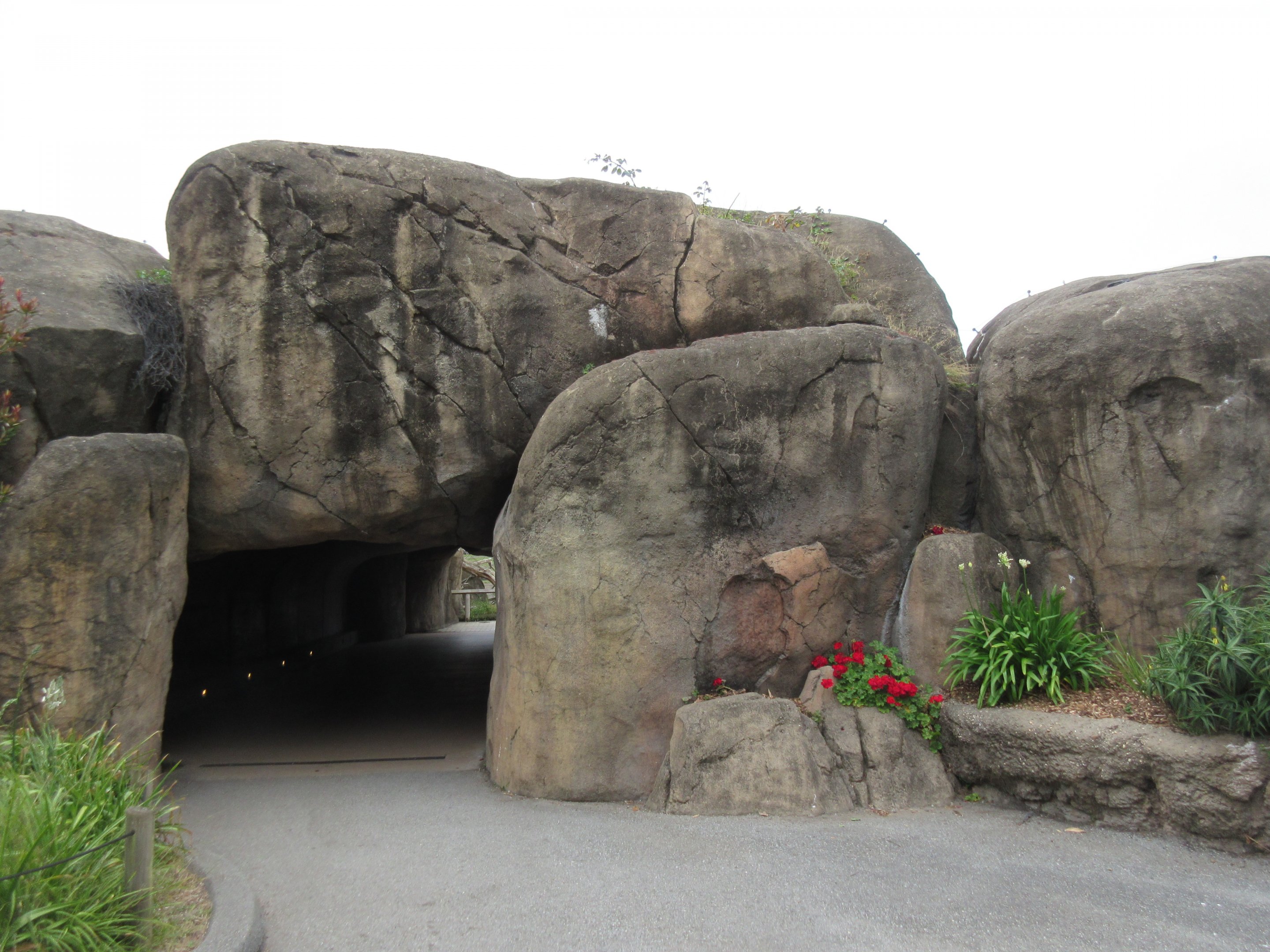 African Savanna - visitor tunnel