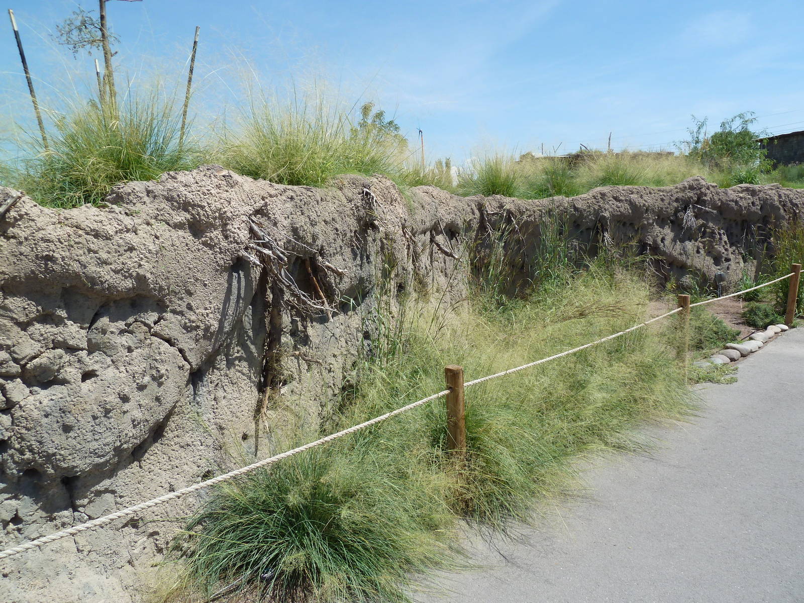 African Savanna Visitor Walkway - New Exhibit In 2010