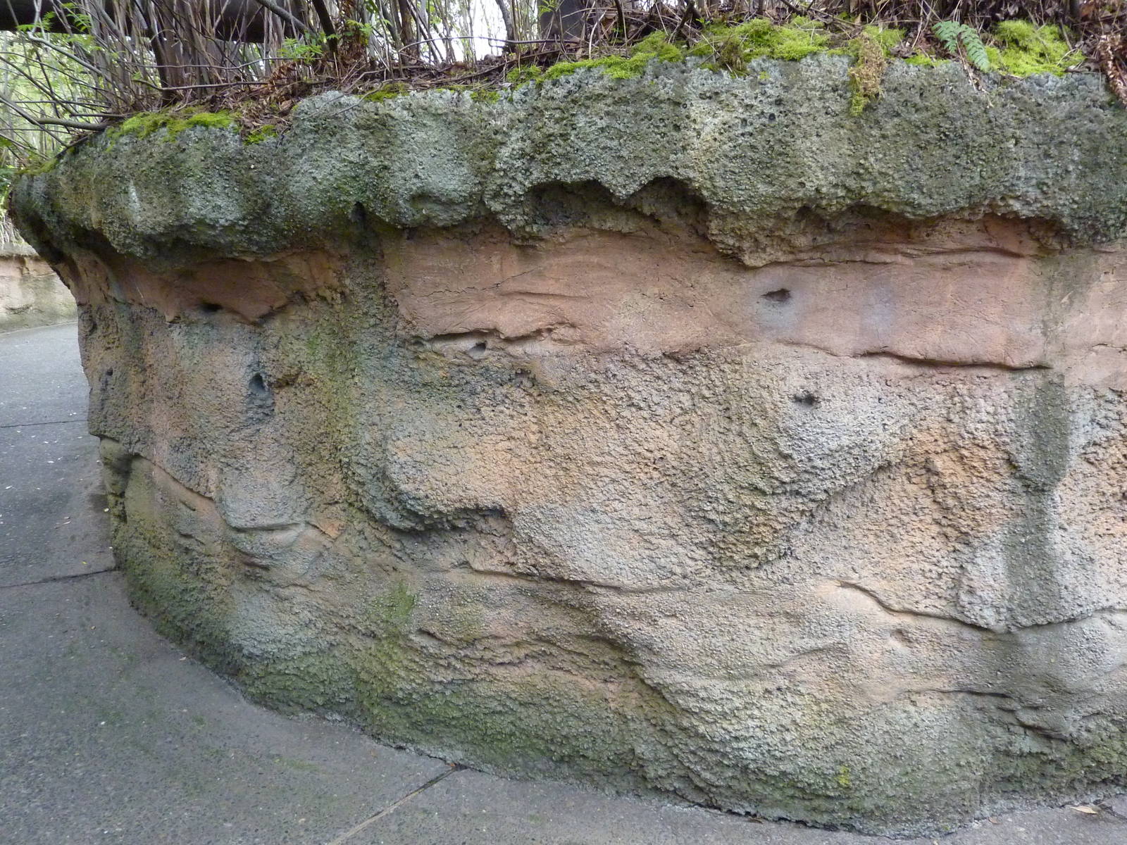 African Savanna - Visitor Walkway