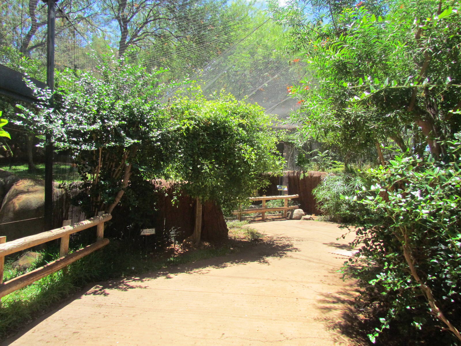 African Savanna - Walkthrough Aviary