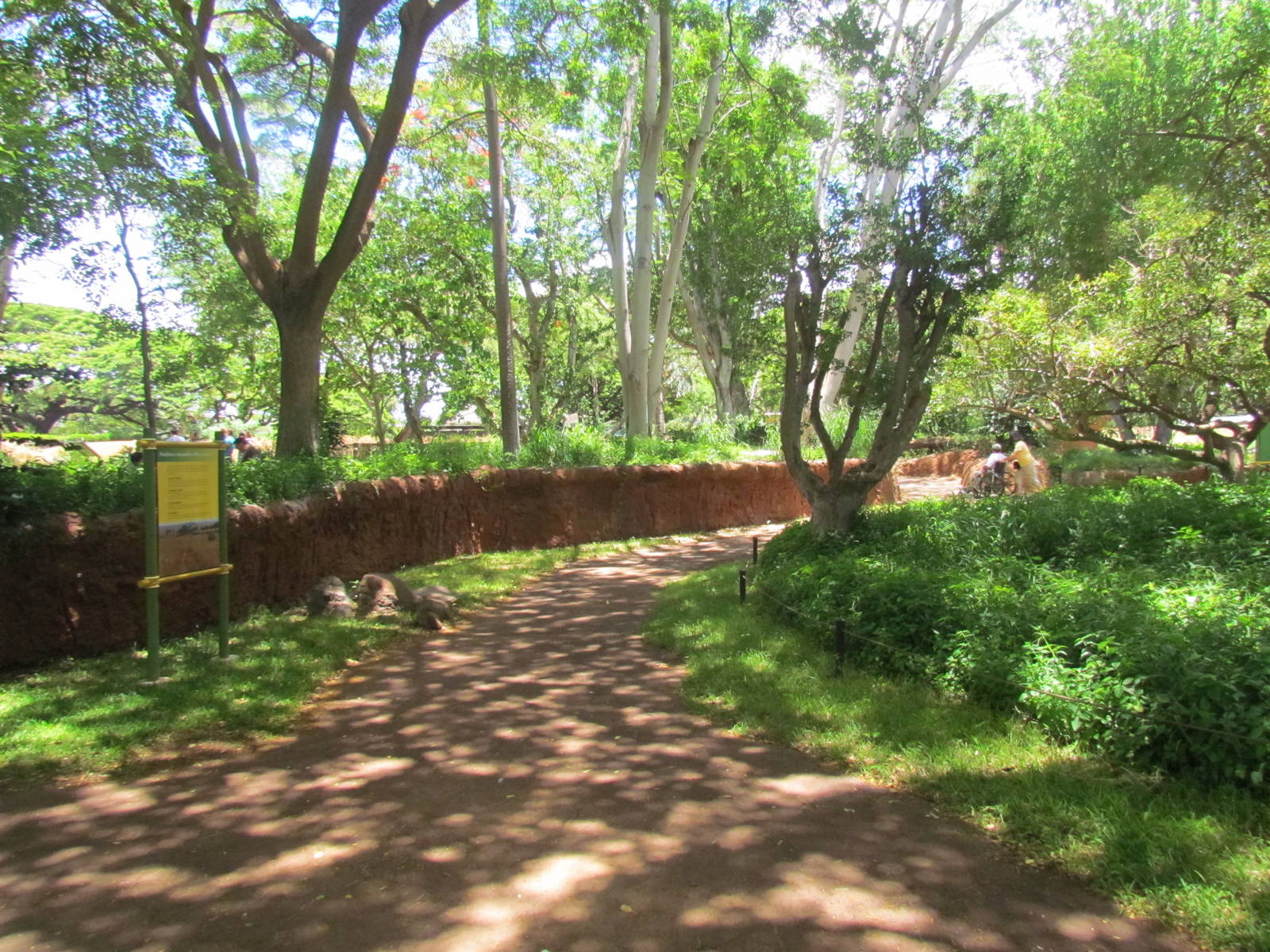 African Savanna - Walkway