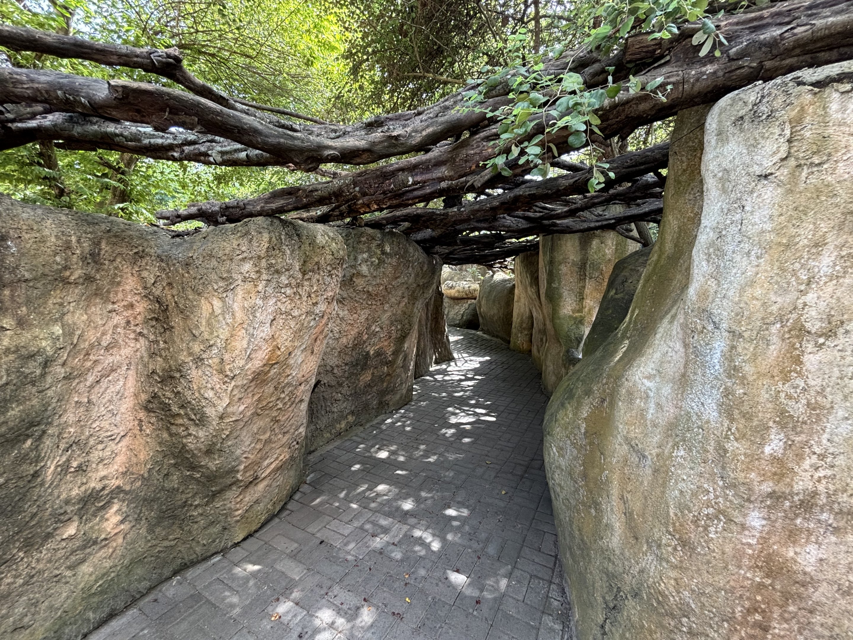 African Savanna - walkway