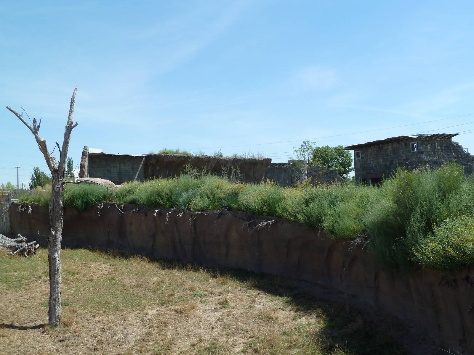 African Savanna Wall - New Exhibit In 2010