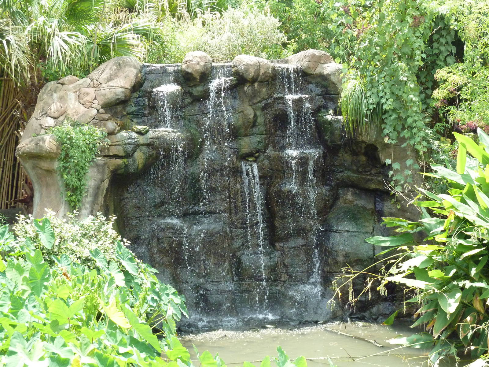 African Savanna - Waterfall