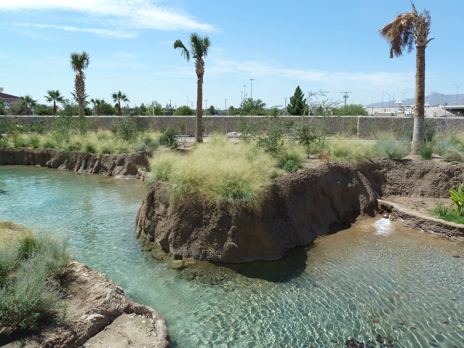 African Savanna Waterway - New Exhibit In 2010