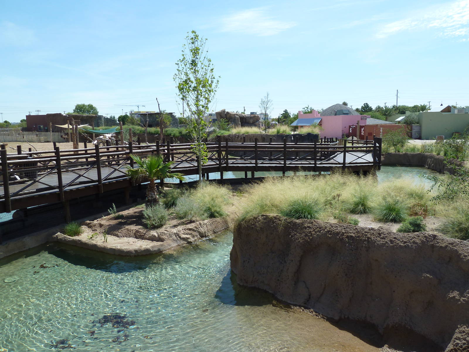 African Savanna Waterway - New Exhibit In 2010