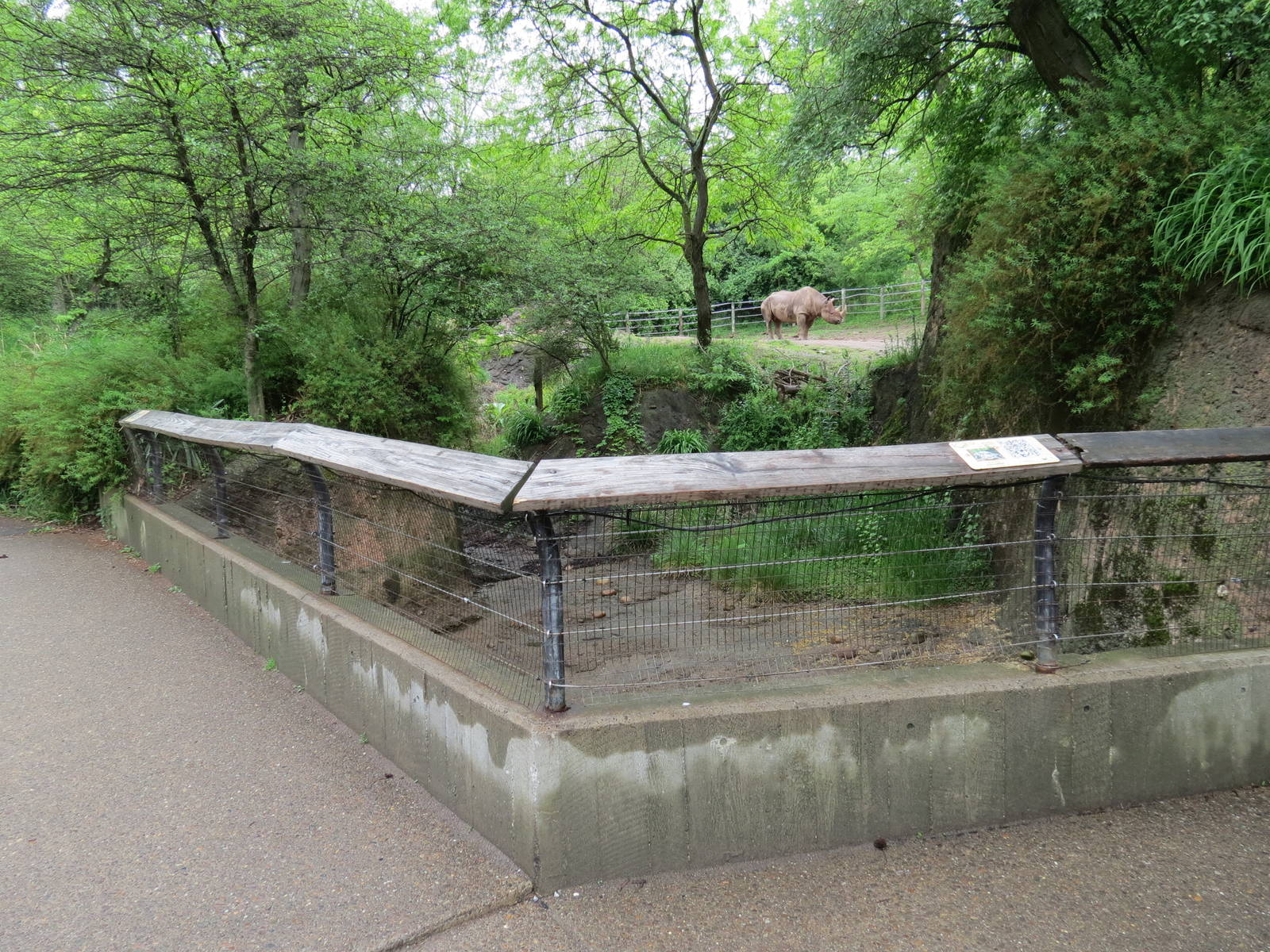 African Savanna - West African Dwarf Crocodile Exhibit Viewing Area