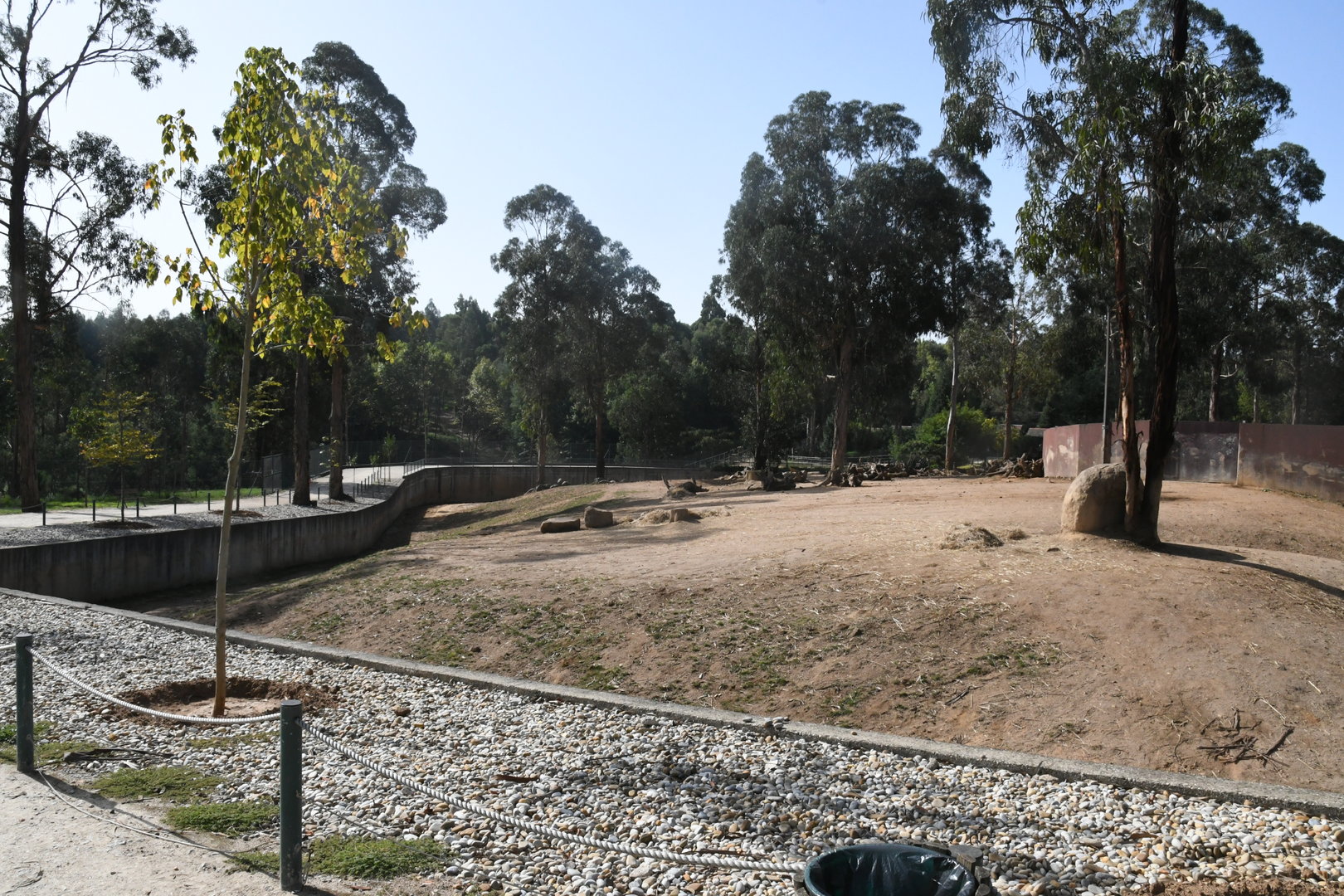 African Savanna (White Rhinos and Plains Zebras)