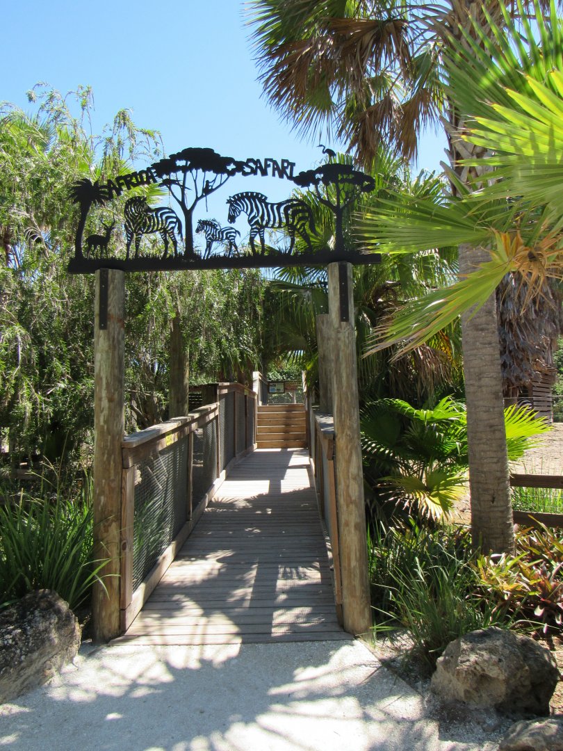 African Savanna - Wild Florida