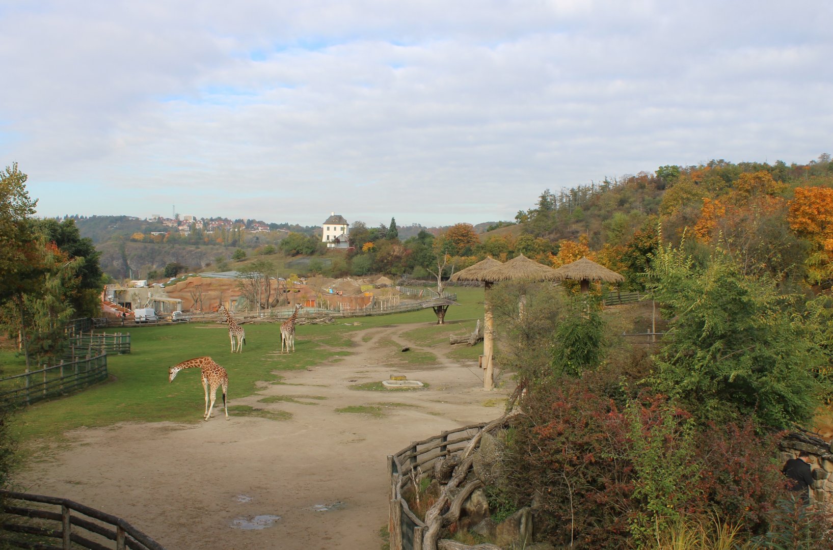 African savanna with in the back-ground the buiding-site for the new Gorilla enclosure