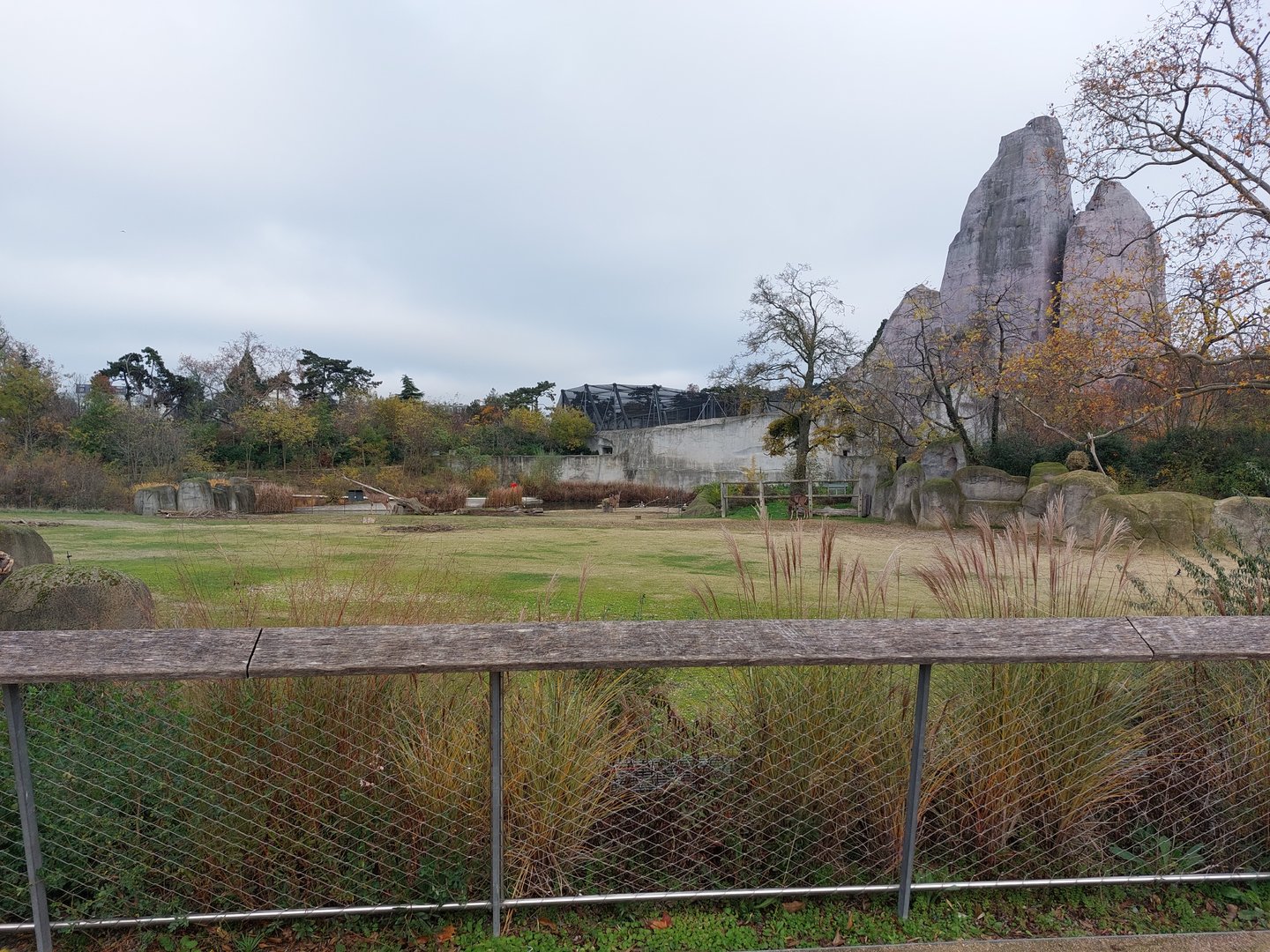 African savanna with stunning background
