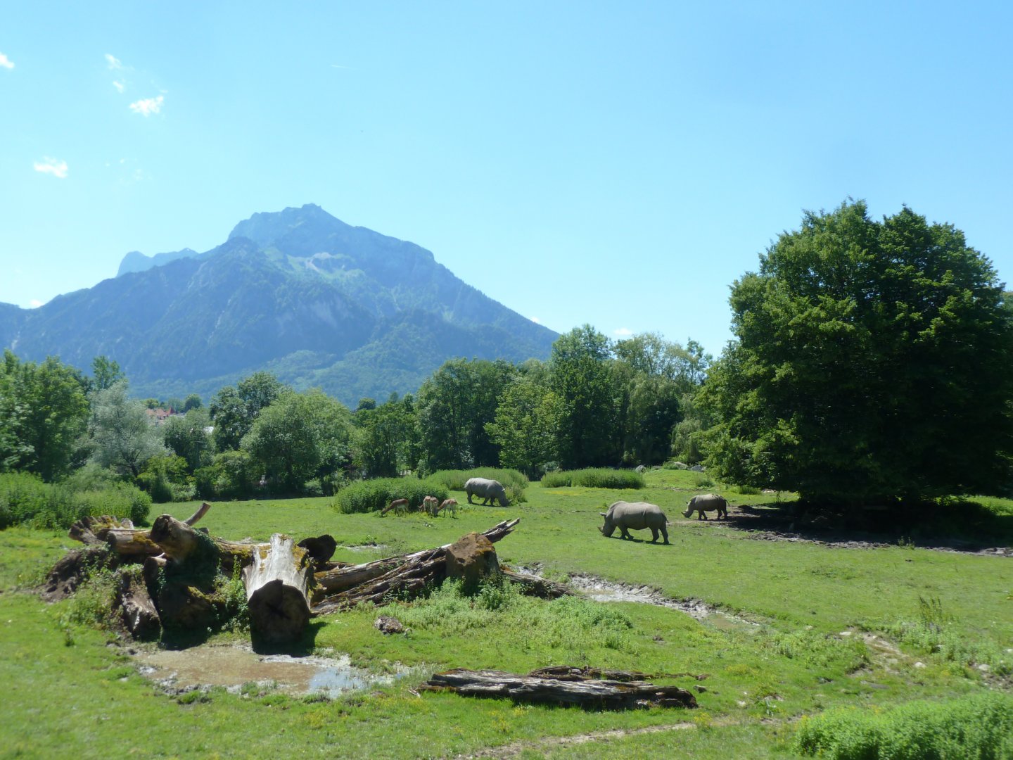 African savanna with the Untersberg in the background
