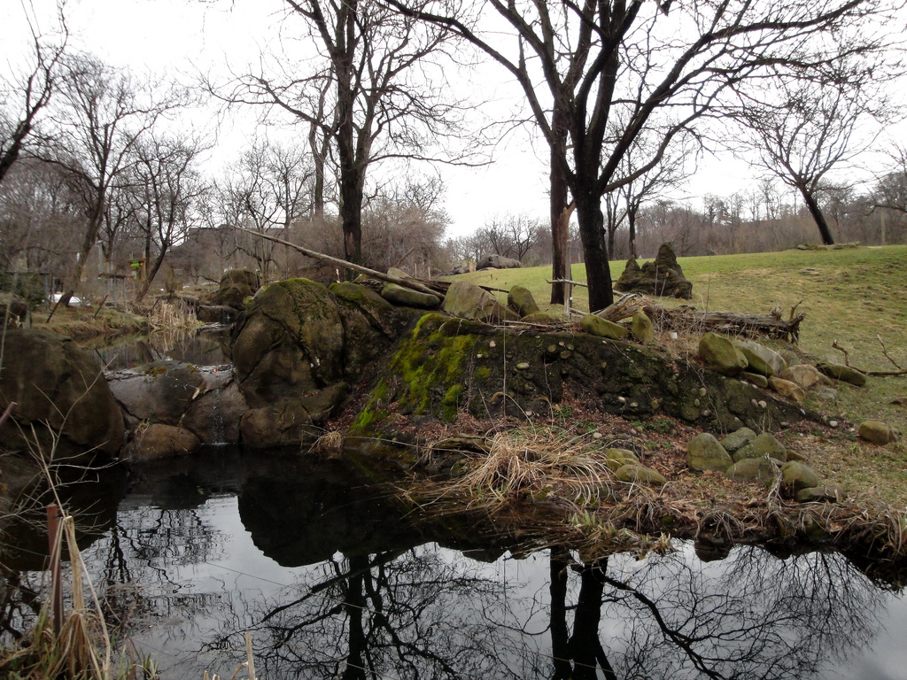 African Savannah - Antelope Exhibit
