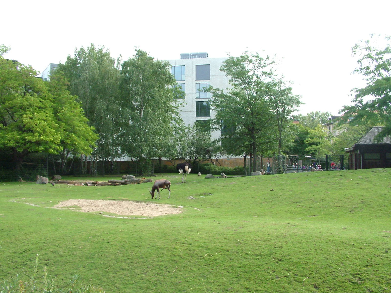 African Savannah at Berlin Zoo, 31/08/11