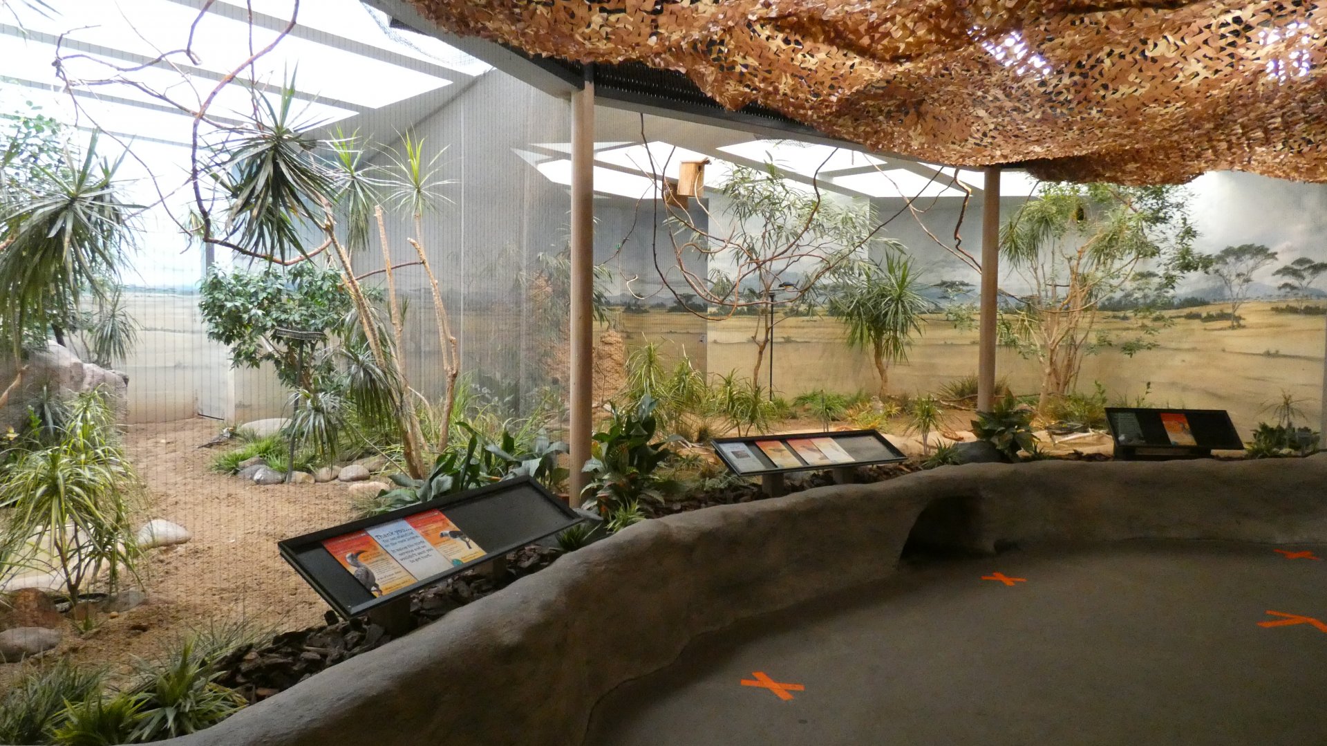 African Savannah, Aviary - Aug. 2021