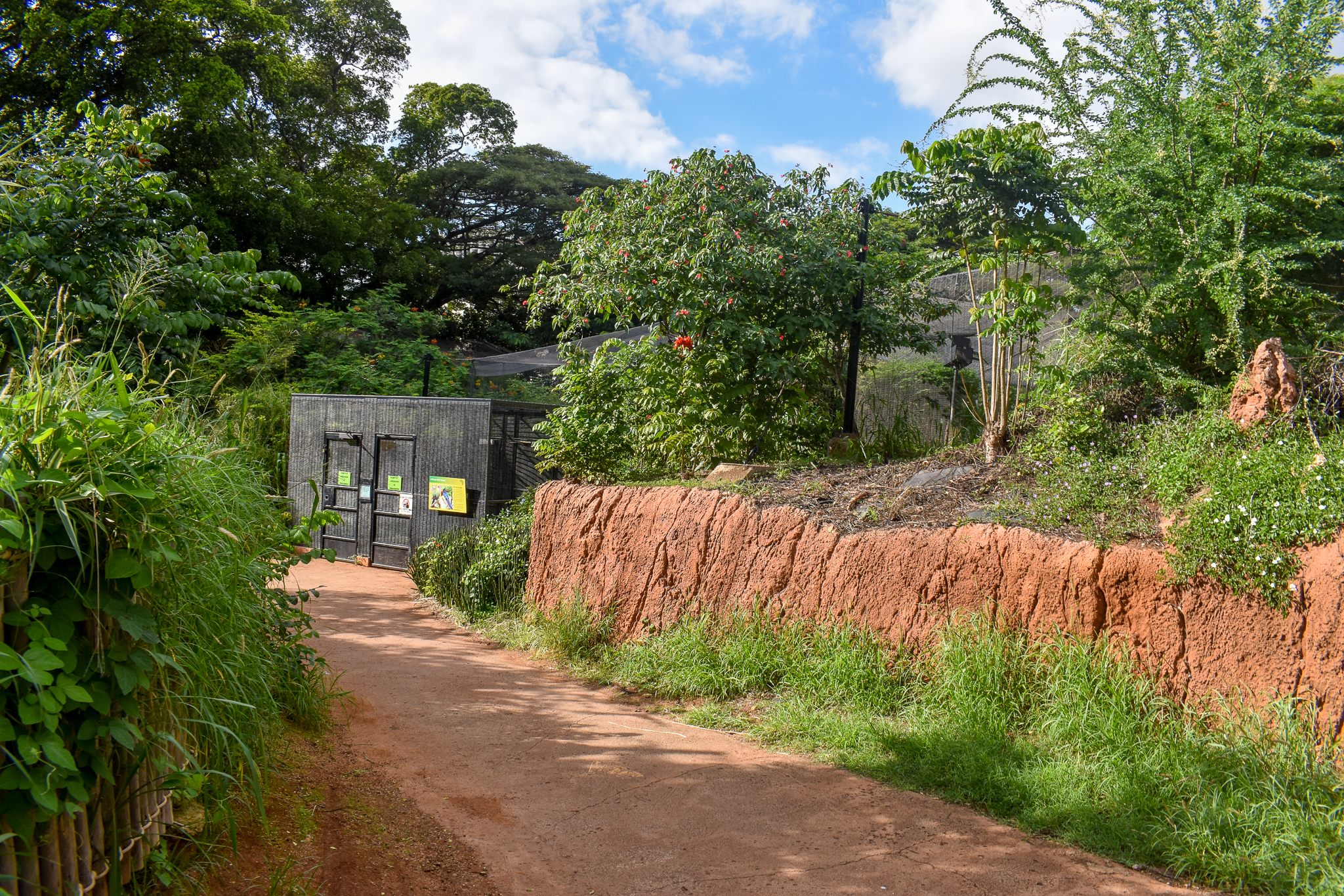 African savannah aviary (closed)