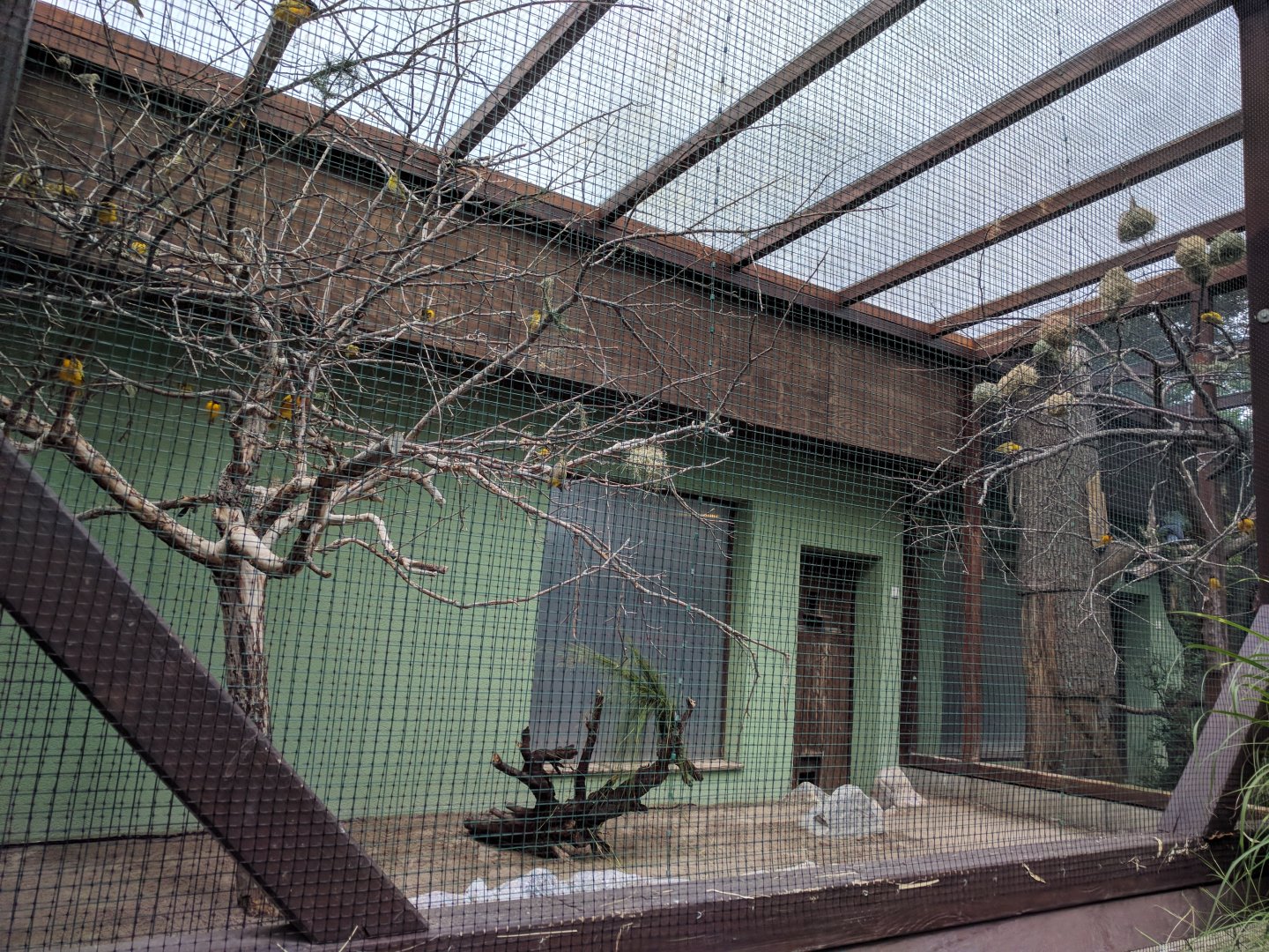 African Savannah Aviary