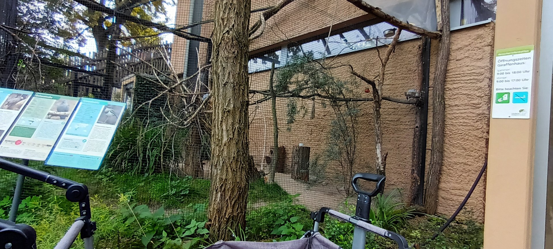 African Savannah: Aviary