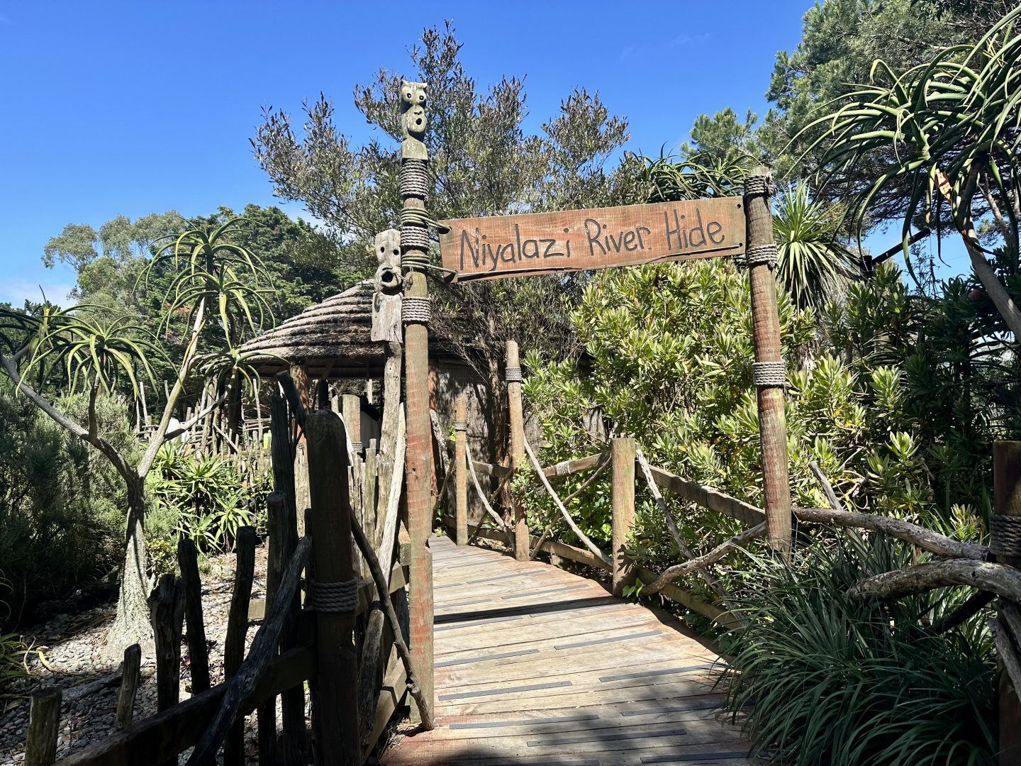 African Savannah - Boardwalk