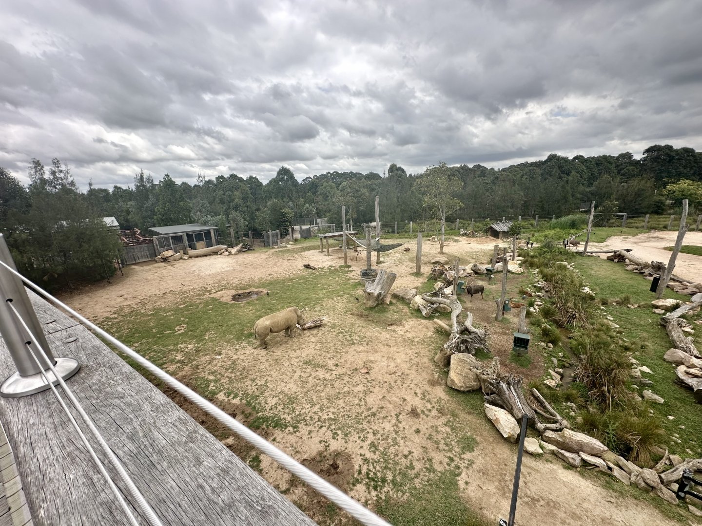 African Savannah (Bottom)