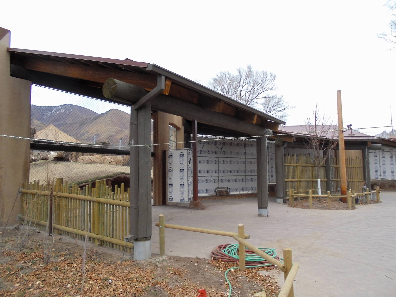 African Savannah Construction 12/1/13