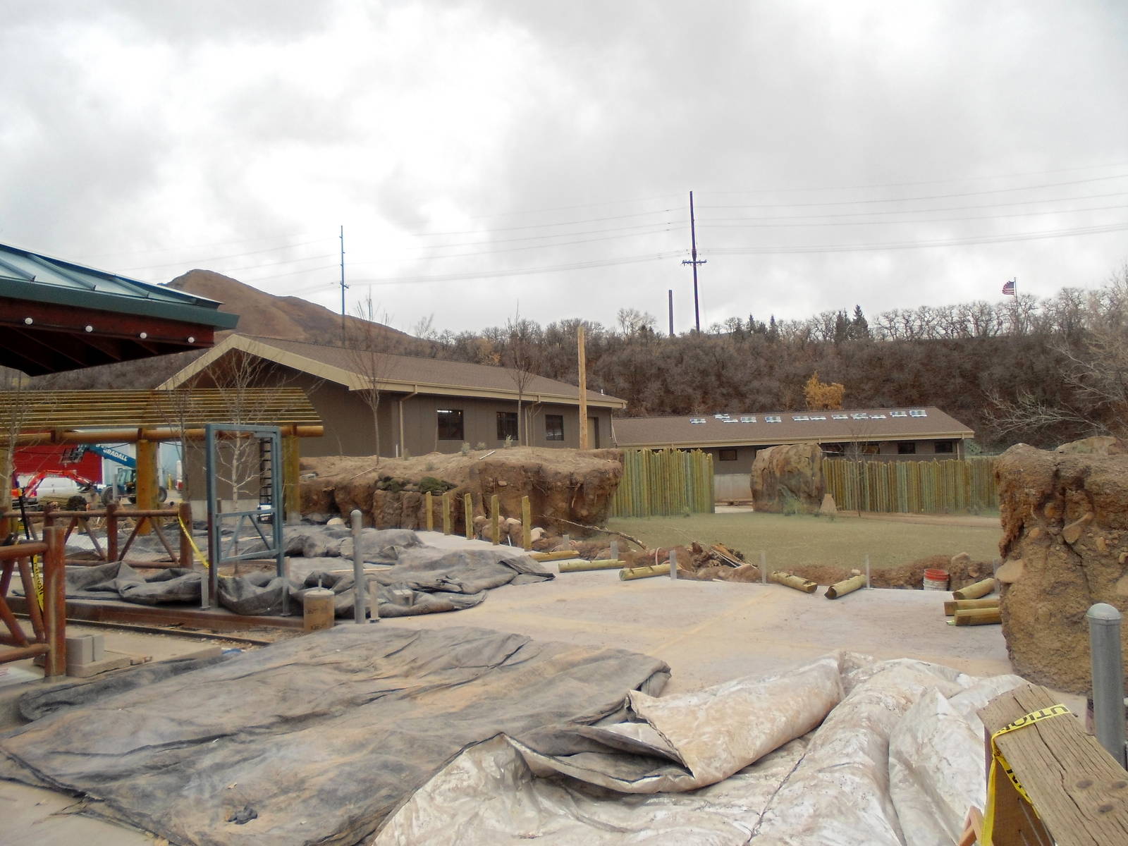 African Savannah Construction 12/2/13