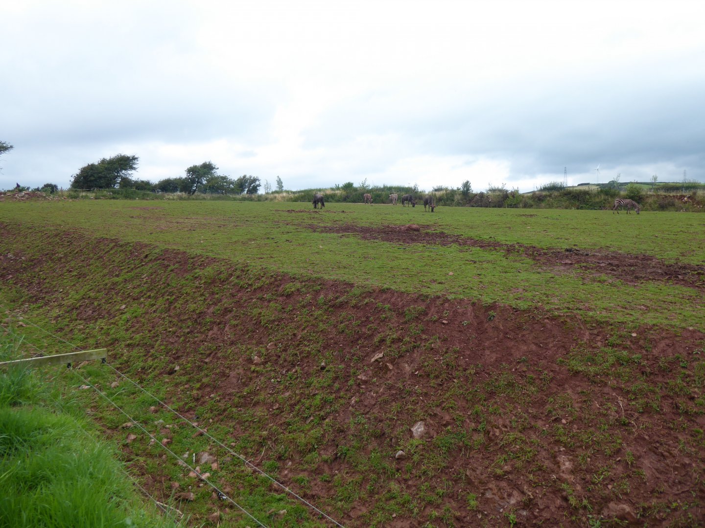 African savannah enclosure 020817