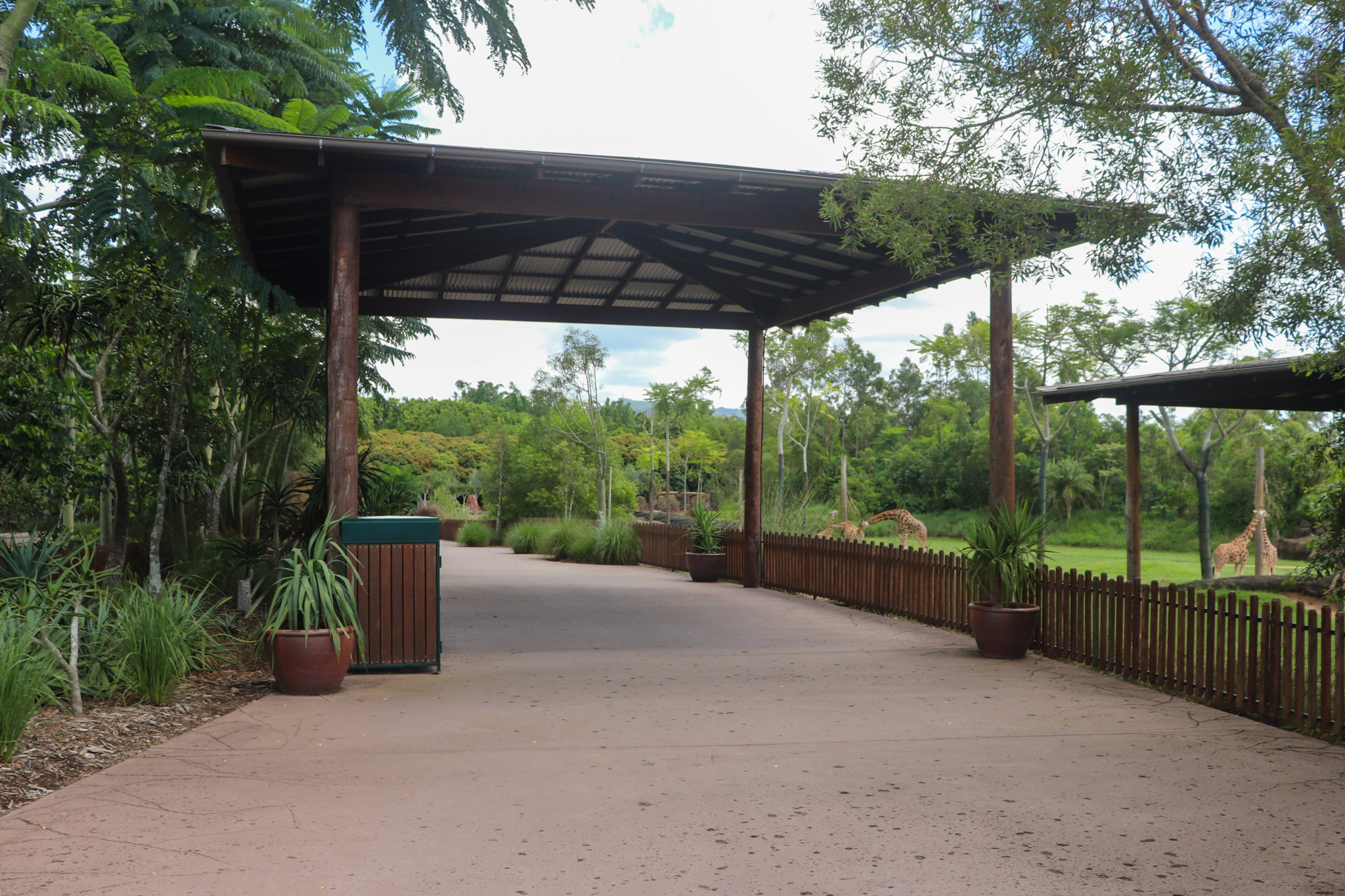 African Savannah Enclosure - Shaded Viewing Area