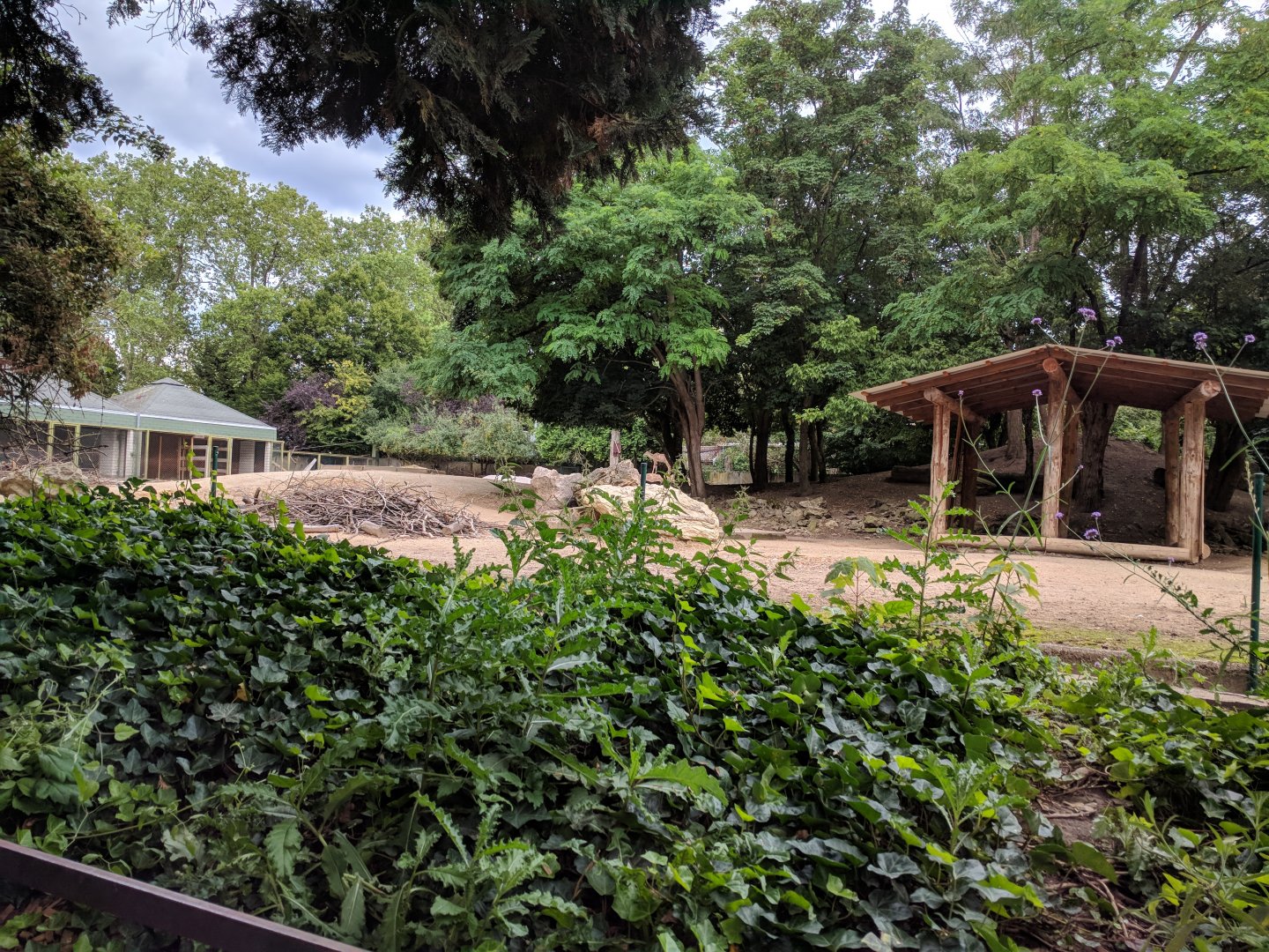 African Savannah Enclosure