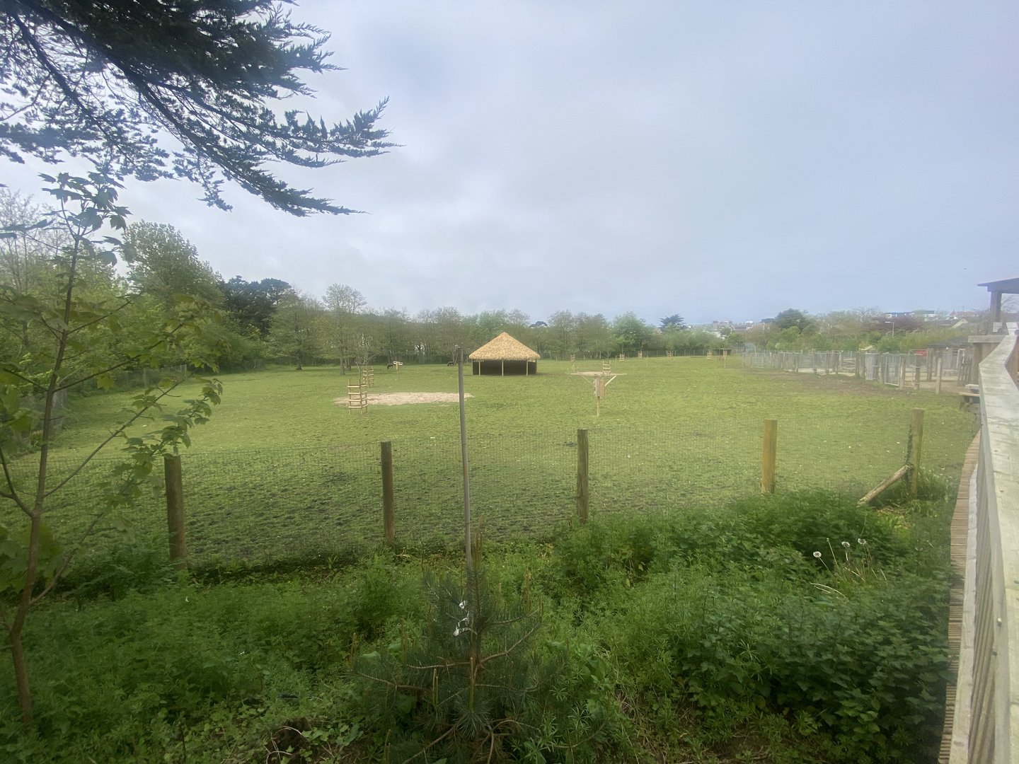 African Savannah exhibit 060523