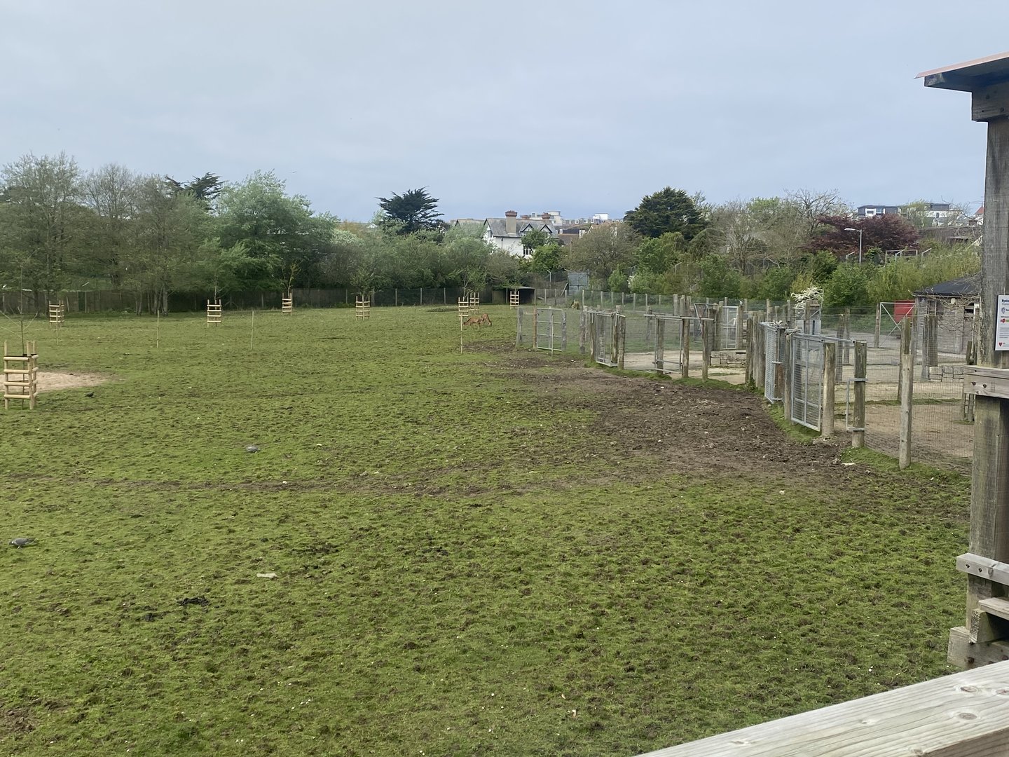 African Savannah exhibit 060523