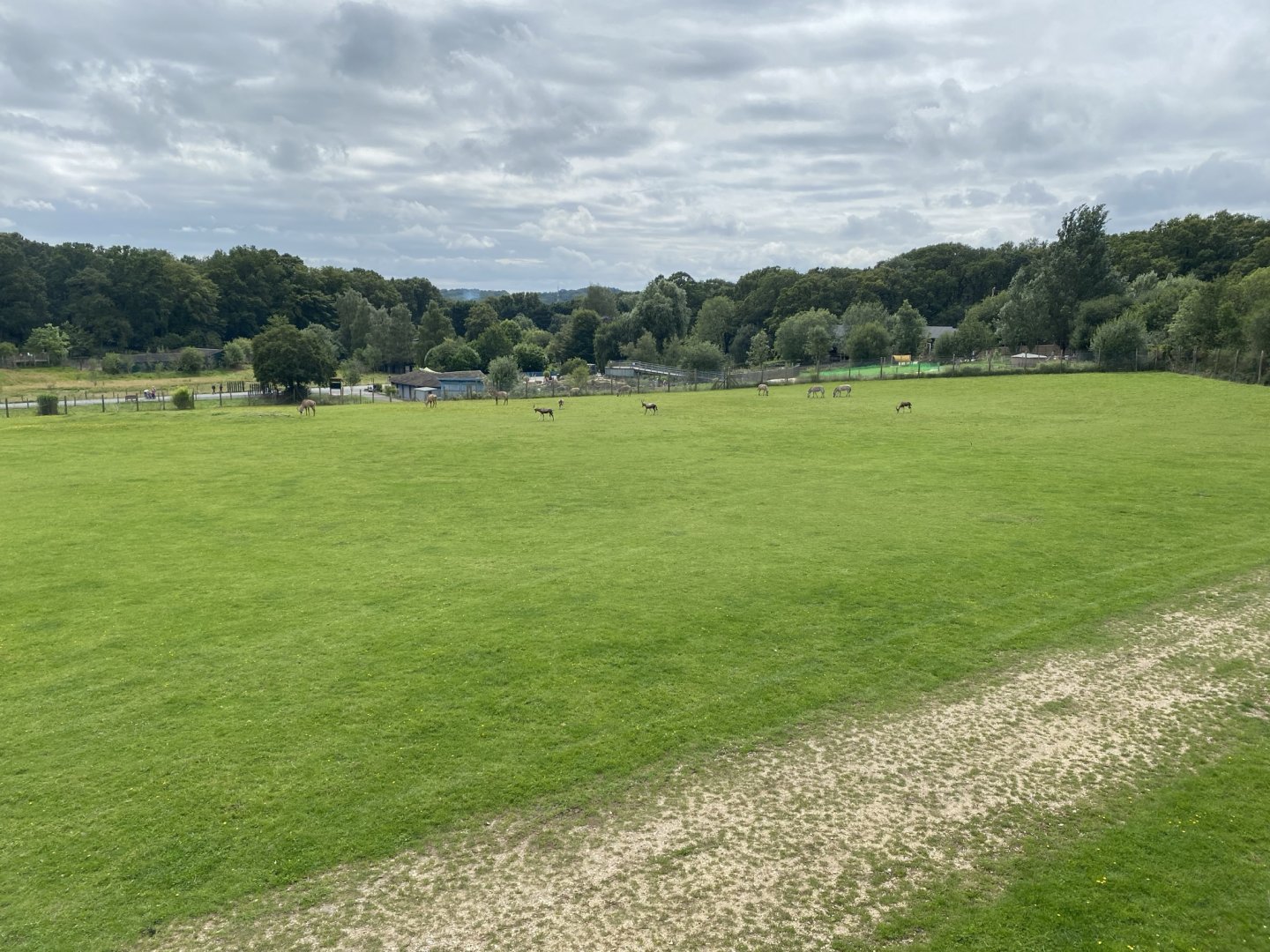 African Savannah exhibit 120821