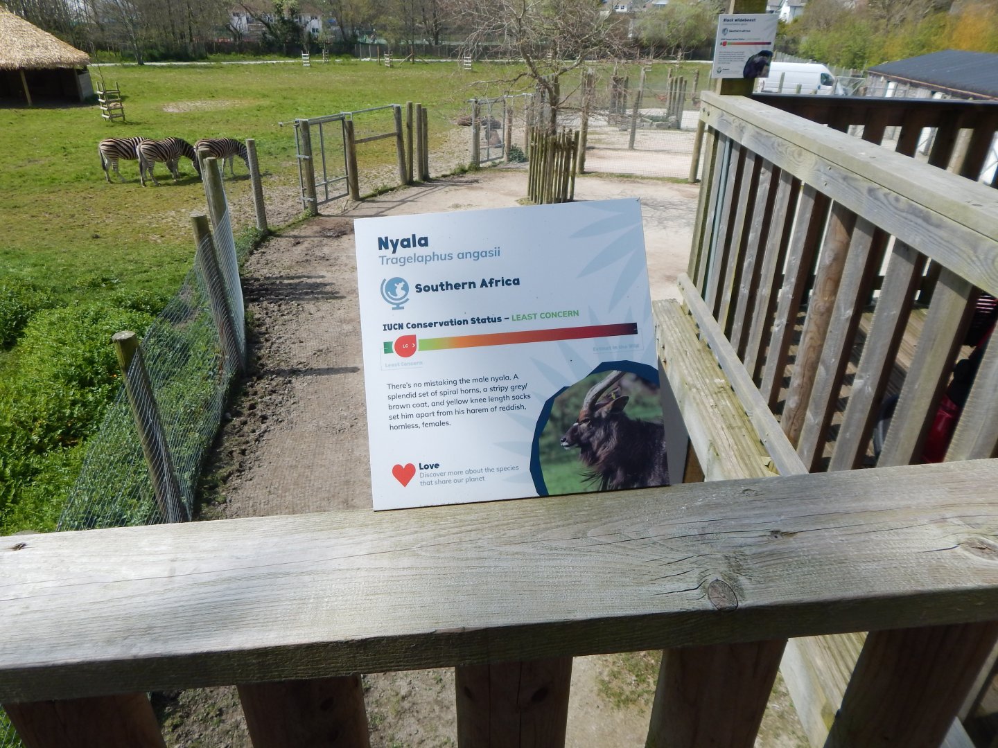 African Savannah Exhibit 240424