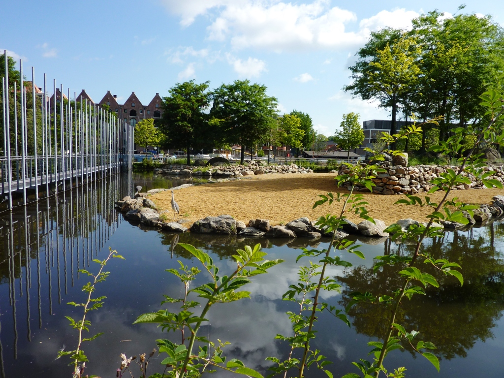 African Savannah exhibit Artis August 20