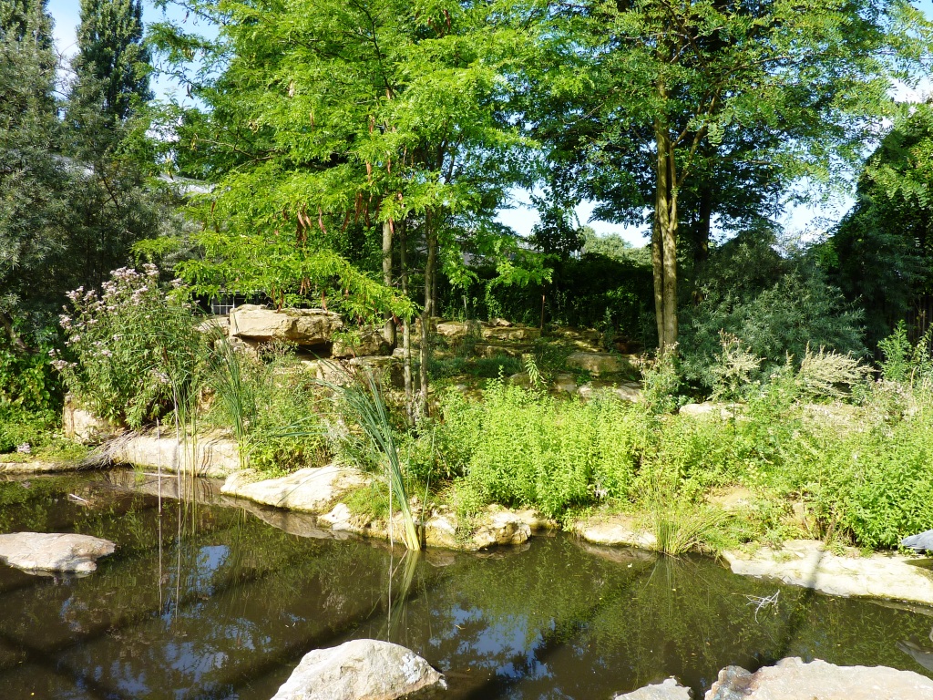 African Savannah exhibit Artis August 20