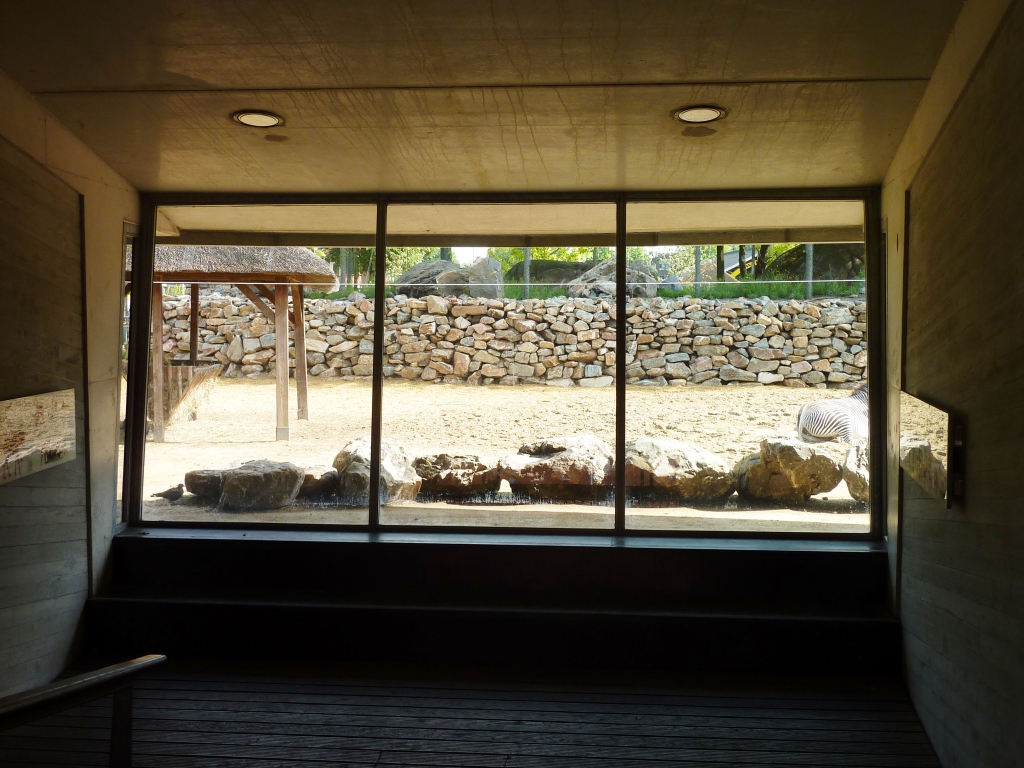 African Savannah exhibit Artis August 2010