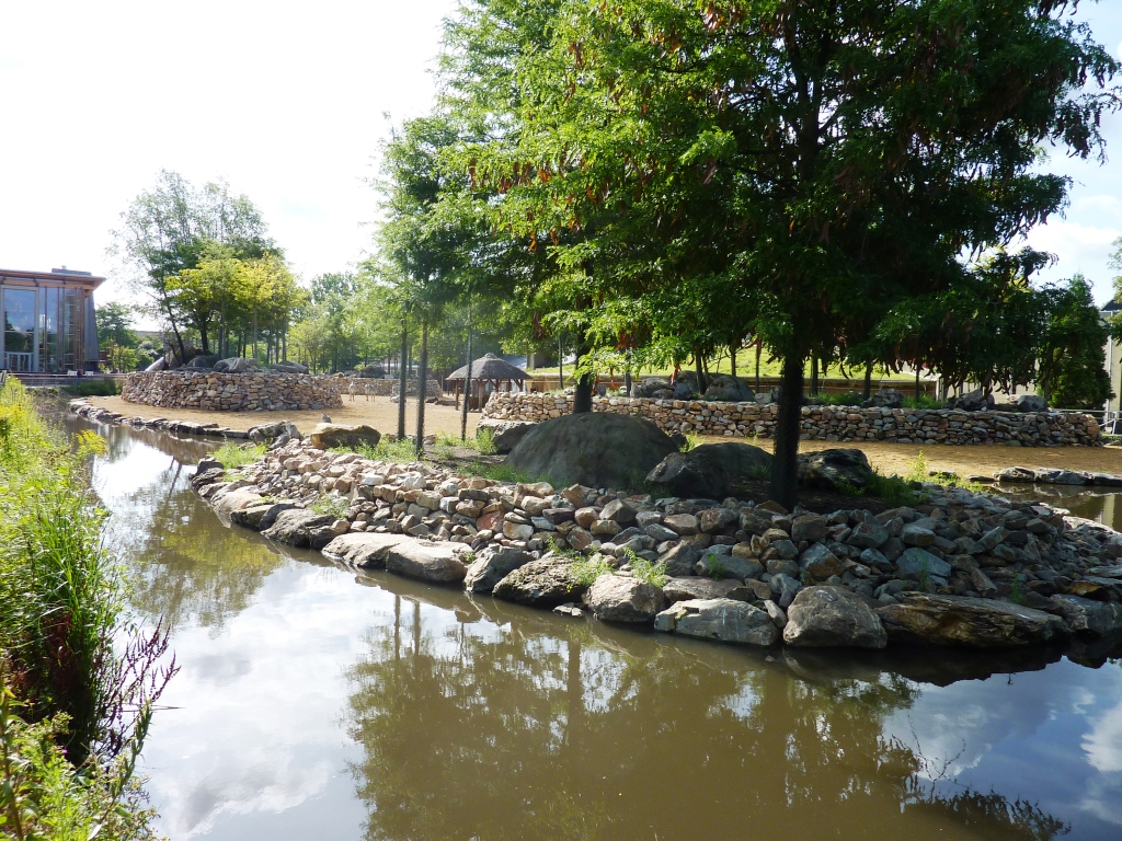 African Savannah exhibit Artis August 2010