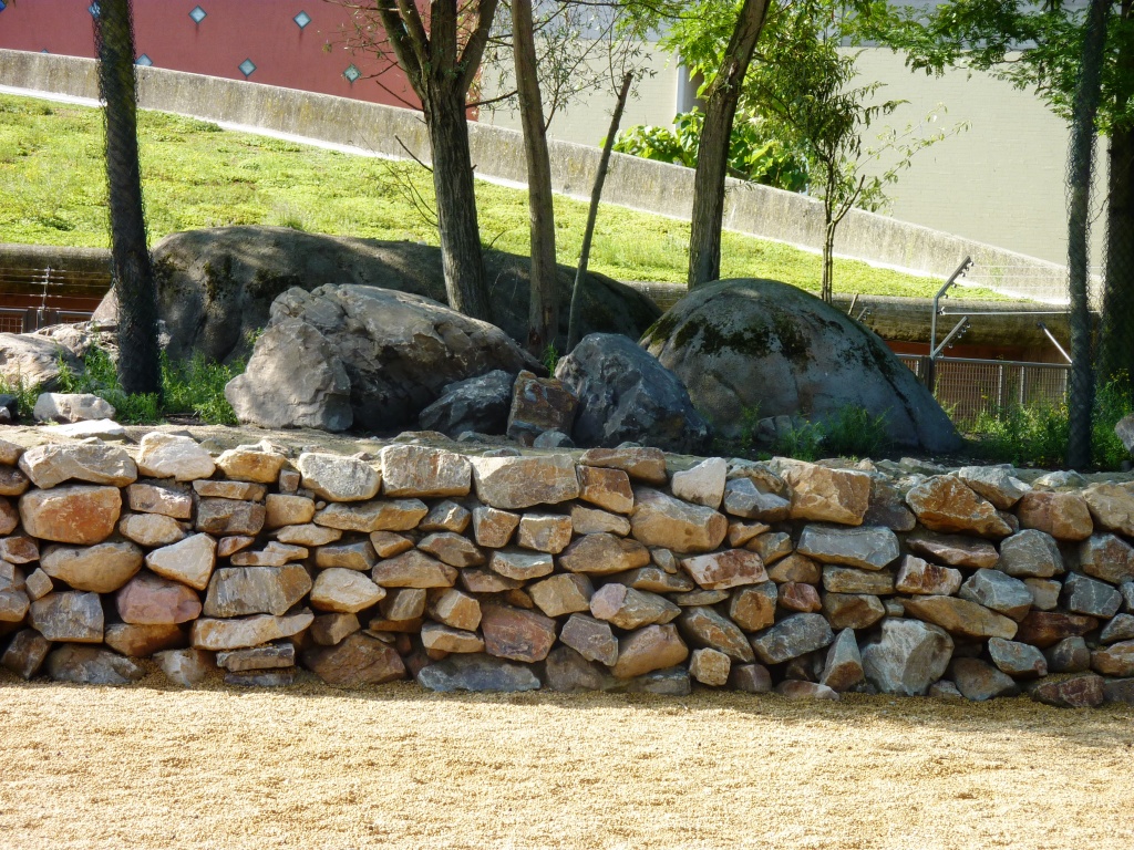 African Savannah exhibit Artis August 2010