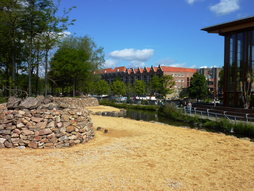 African Savannah exhibit Artis August 2010