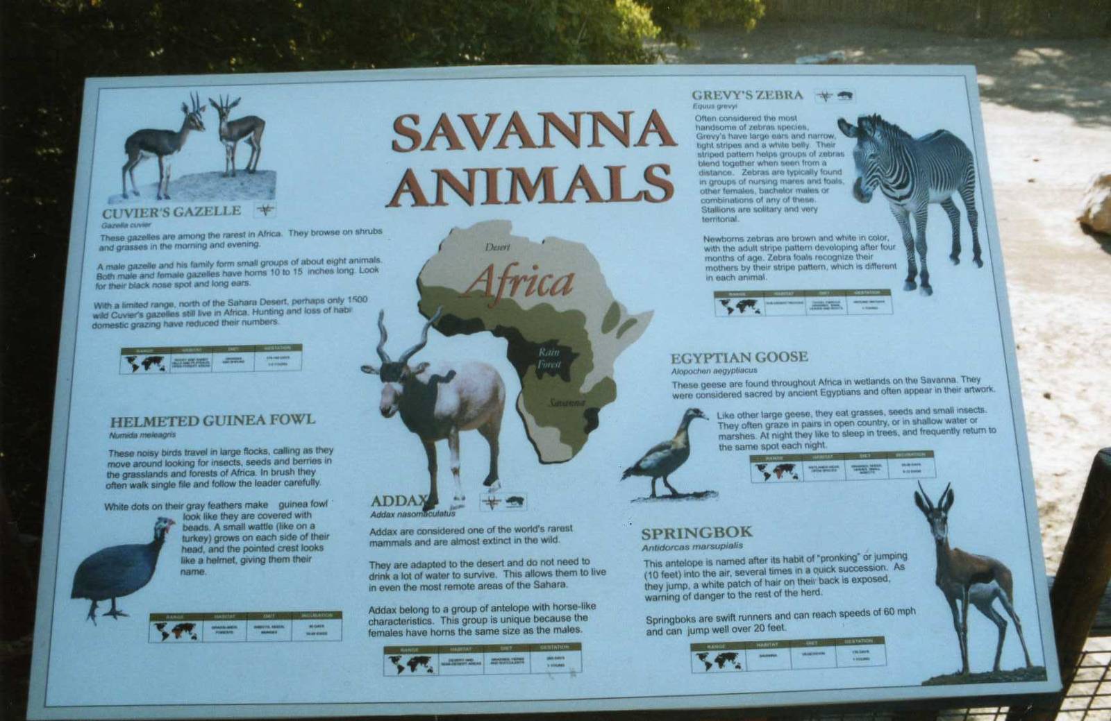 African Savannah Exhibit Sign