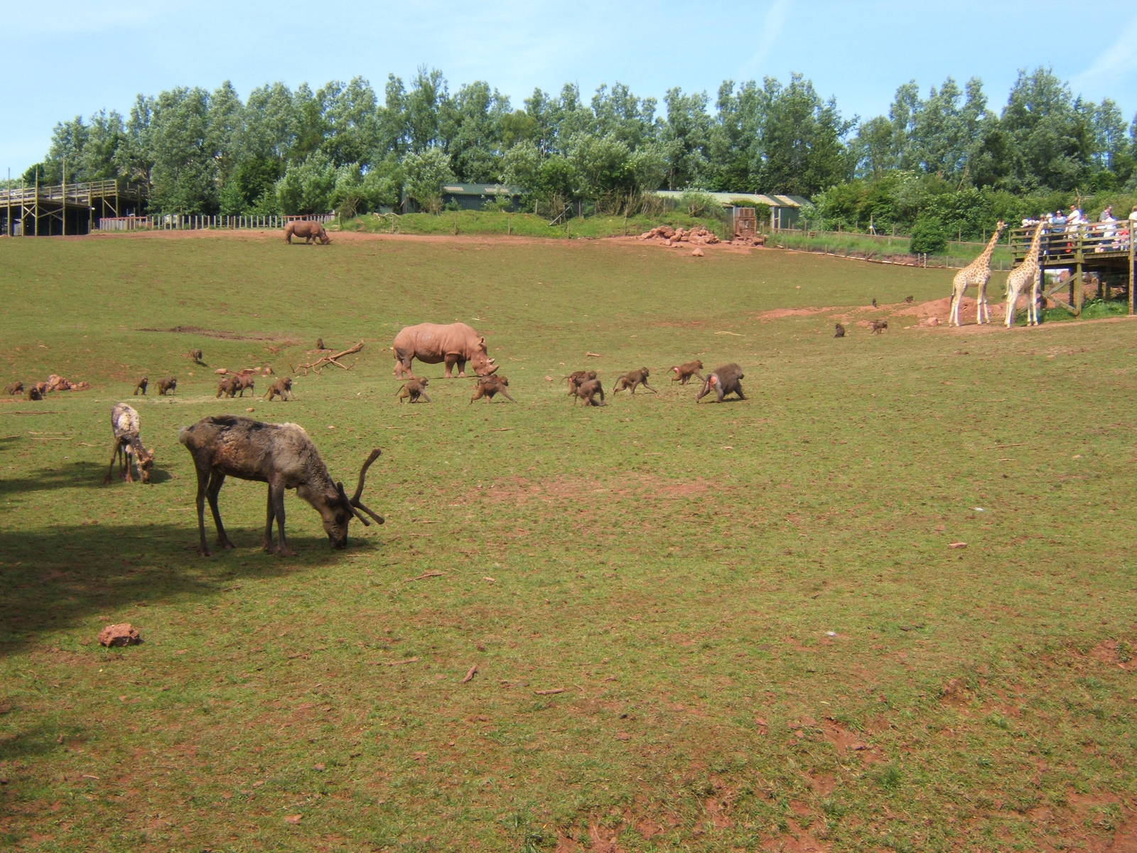 African Savannah exhibit
