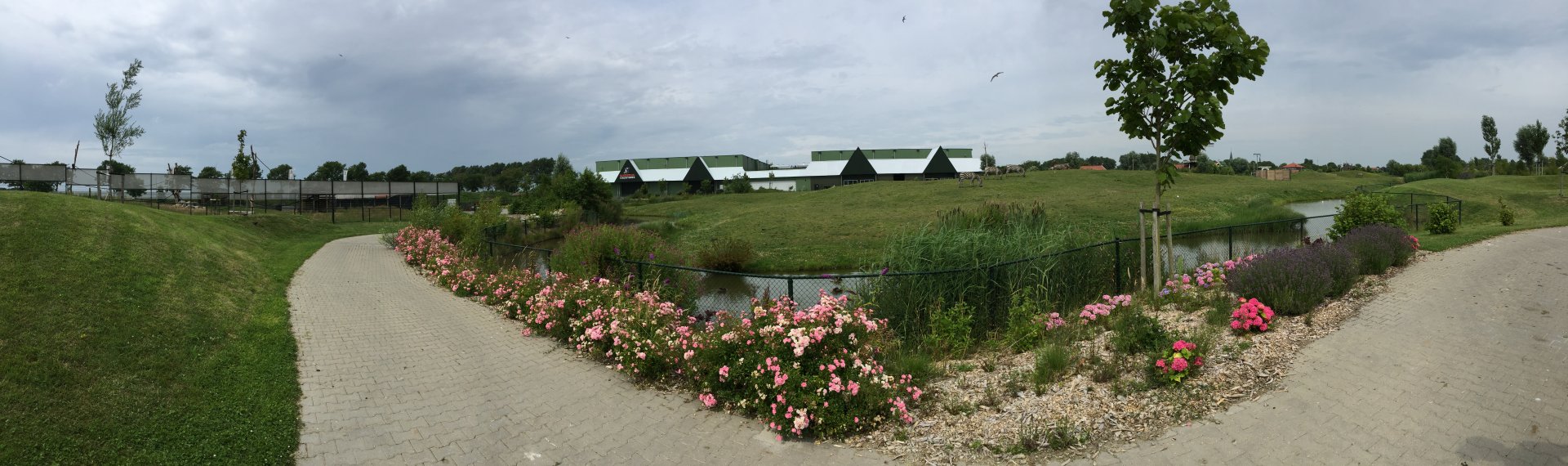 African "Savannah" exhibit