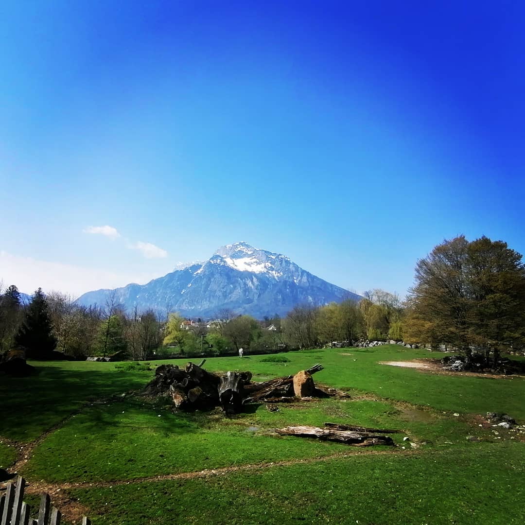 African Savannah exhibit