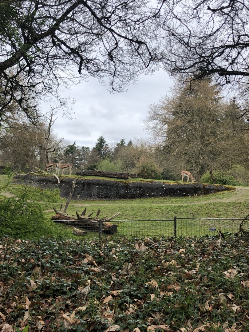 African Savannah Exhibit