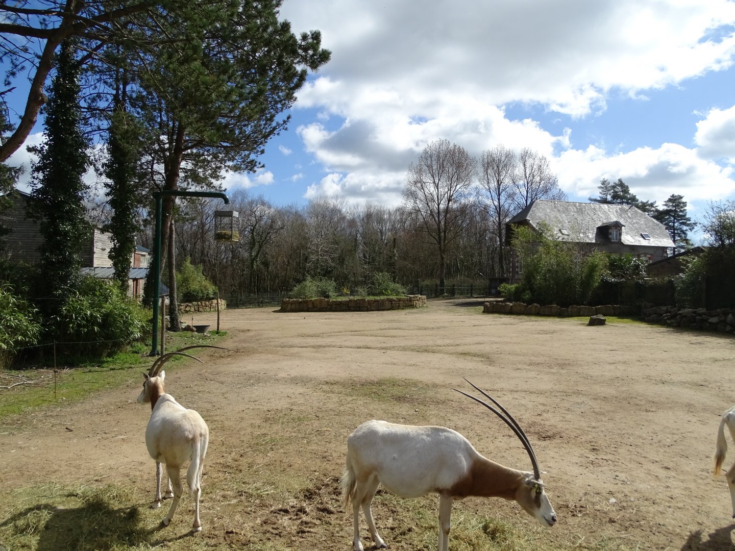 African savannah exhibit