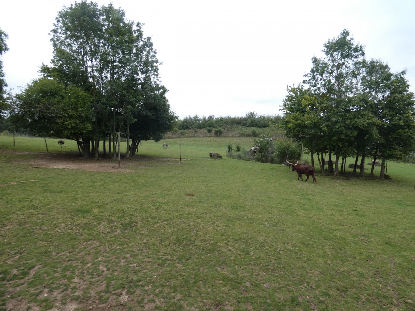 African savannah exhibit